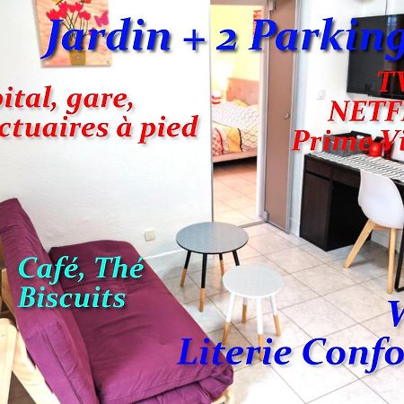 Апартаменты Au Petit Marcadal **Sanctuaires, Hopital, Gare** Лурд Экстерьер фото